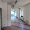 Gallery Thumbnail 11