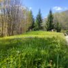 Gallery Thumbnail 26