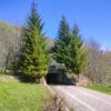 Gallery Thumbnail 34