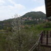 Gallery Thumbnail 11