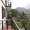 Gallery Thumbnail 19