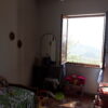 Gallery Thumbnail 22