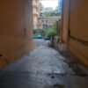 Gallery Thumbnail 31