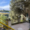 Gallery Thumbnail 16