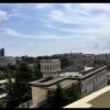 Gallery Thumbnail 23