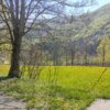 Gallery Thumbnail 1