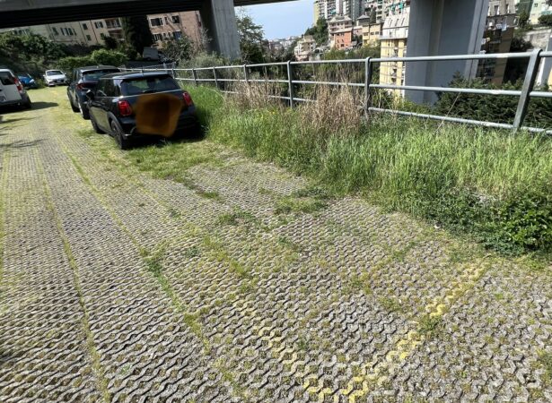 FIN IMMOBILIARE